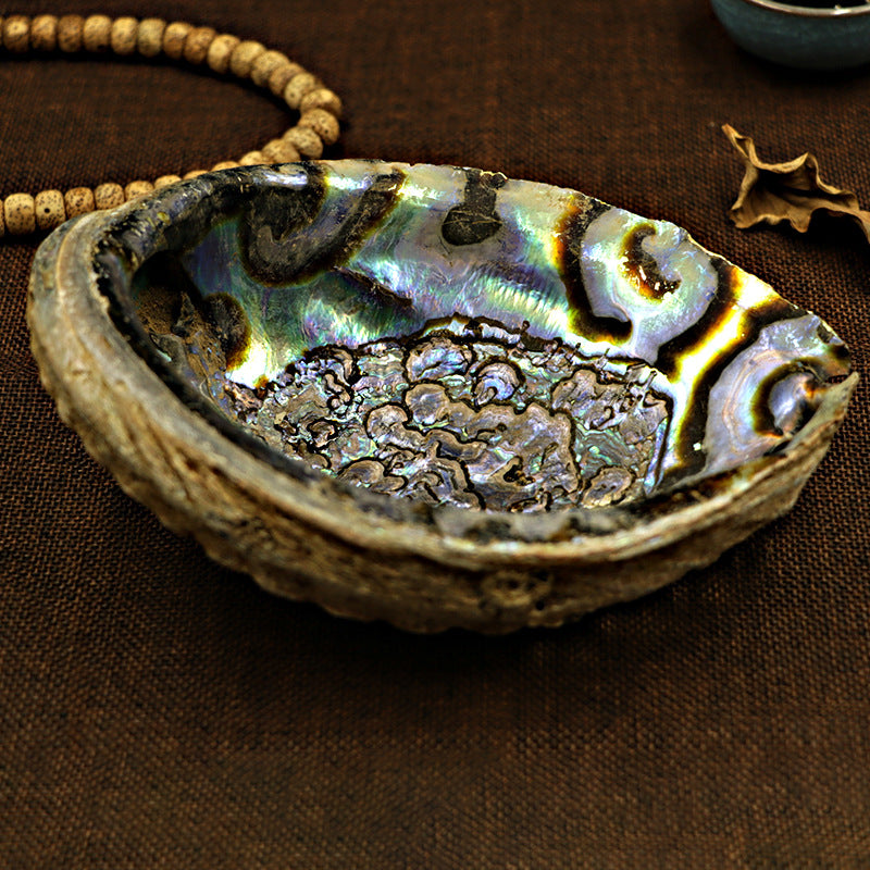 Abalone Aura Incense: Sage Burning Shell