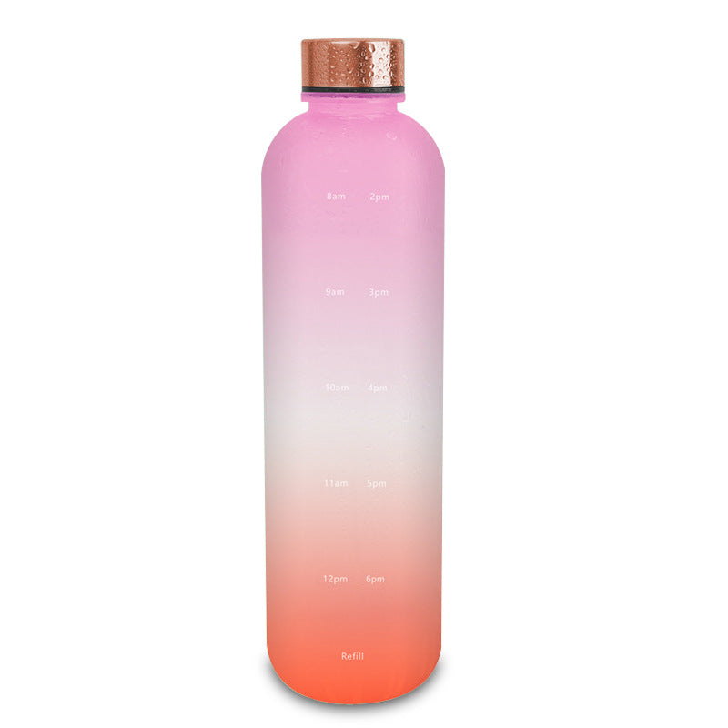 Frosted Gradient Sports Water Bottle: Various Styles, Plastic Material